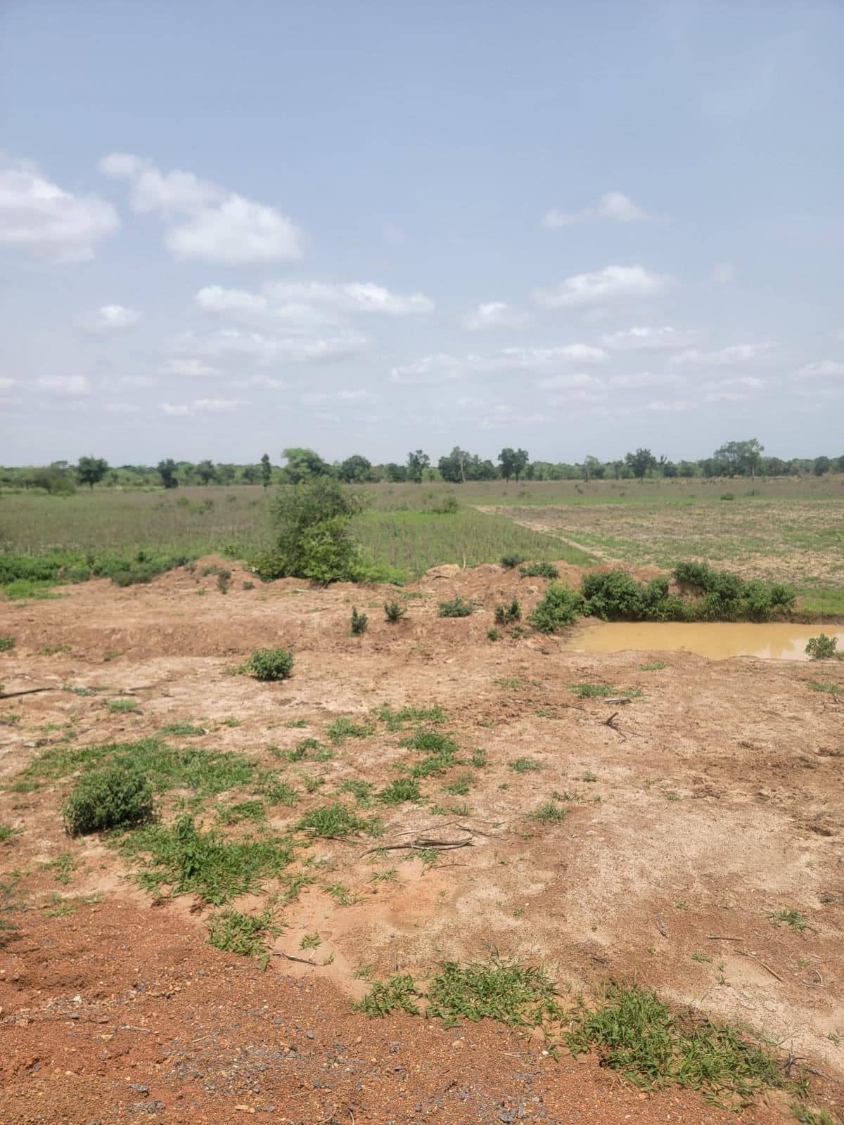 Mission d'audit des travaux de lotissement et de remembrement dans la Commune de Ouidah